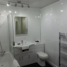 PVC-paneelit kylpyhuoneeseen: hyvät ja huonot puolet, valitut ominaisuudet, suunnittelu-1