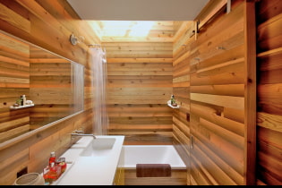 Panel PVC untuk bilik mandi: kebaikan dan keburukan, ciri pilihan, reka bentuk