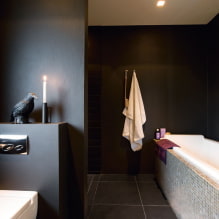 Juodas vonios kambarys: nuotraukos ir dizaino paslaptys-7
