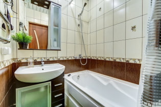 Kuinka luoda tyylikäs kylpyhuoneen muotoilu 4 neliömetriä?