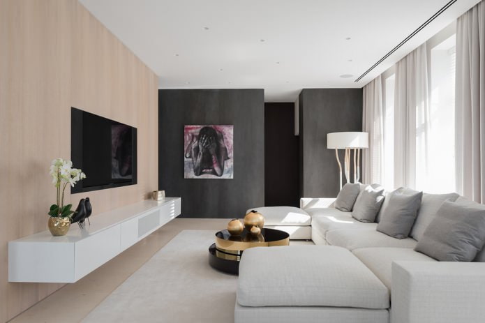 Chủ nghĩa tối giản trong nội thất: mô tả phong cách, lựa chọn màu sắc, hoàn thiện, đồ nội thất và trang trí
