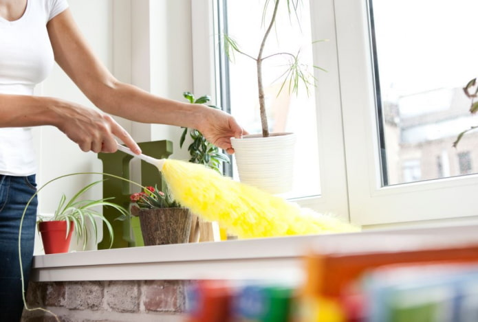 10 consells útils sobre com netejar ràpidament