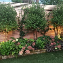 Co lepiej sadzić wzdłuż ogrodzenia na stronie?