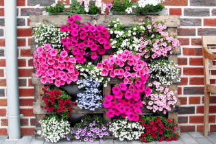 How to make a vertical flower bed?