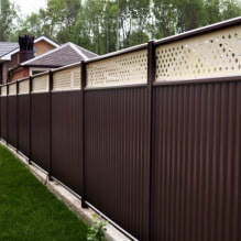 Foto e tipi di recinzioni in cartone ondulato per una casa privata-4