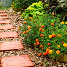 How to decorate beautifully garden paths for a summer residence? -8