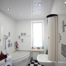 Siling regangan di bilik mandi: kebaikan dan keburukan, jenis dan contoh reka bentuk-7