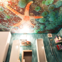 Plafond tendu dans la salle de bain: avantages et inconvénients, types et exemples de design-8