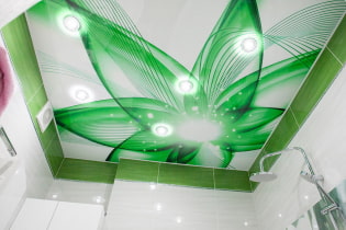 Spanplafond in de badkamer: voor- en nadelen, soorten en voorbeelden van design