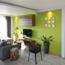Příklady dekorace interiéru v zeleno-6