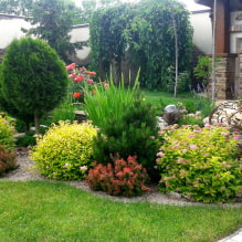 Landscaping of a summer cottage on 6 ares-3