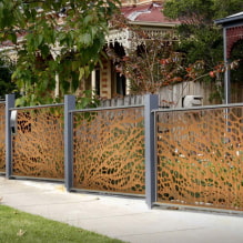 Quale recinzione è meglio mettere in una casa privata? -0
