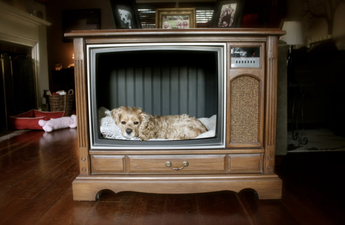 Какво може да се направи от стар телевизор: 10 полезни идеи