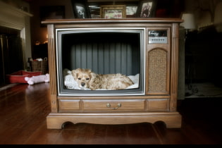 Ko var izdarīt no vecā televizora: 10 noderīgas idejas