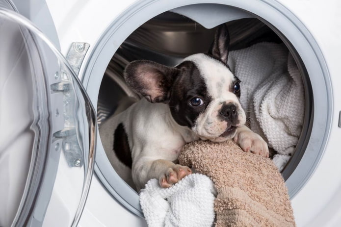 Ar man reikia uždaryti skalbimo mašinos dureles? (Panagrinėkime visus privalumus ir trūkumus)