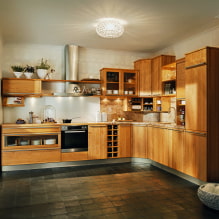 Đặc điểm của thiết kế nhà bếp dưới gốc cây-5