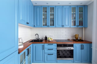 Blauw keukenontwerp