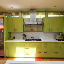Design della cucina in oliva-1