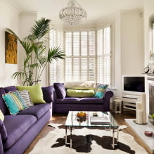 Dzīvojamās istabas dizains ar diviem dīvāniem-1