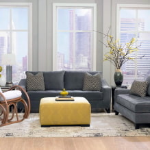 Dzīvojamās istabas dizains ar diviem dīvāniem-5