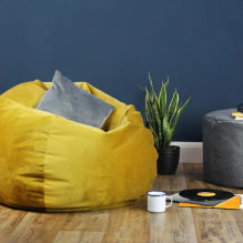 Cum să alegeți un scaun sac de fasole pentru a vă face casa nu numai confortabilă, ci și elegantă-3