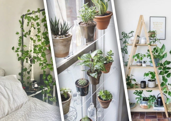 Hvordan dekorerer man et hus med planter smukt?