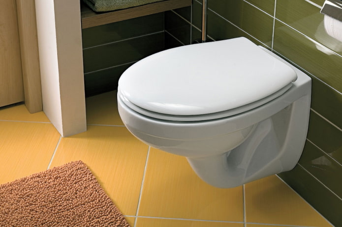 Πώς να επιλέξετε μια τουαλέτα κρεμασμένη στον τοίχο;