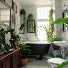 Welke planten kiezen voor de badkamer? -0