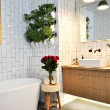 Kādus augus izvēlēties vannas istabai?