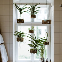 Welke planten kiezen voor de badkamer?