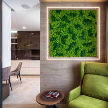 Đặc điểm của việc sử dụng rêu trong thiết kế nội thất-1