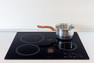 Jak si vybrat nádobí pro indukční varnou desku?