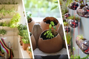 Како лепо поставити саднице у стан?