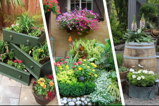 Idei frumoase pentru paturi de flori în curtea unei case private