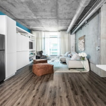 Hoe versier je een keuken-woonkamer in loft-stijl?