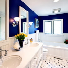 Ko un kā krāsot sienas vannas istabā? -1