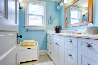 What and how to paint the walls in the bathroom?