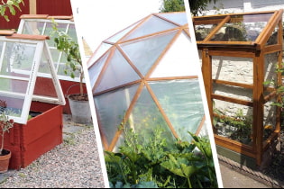 Original ideas for greenhouses