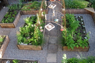 Beautiful ideas for decorating the garden