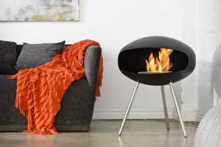 Decorative fireplaces for apartments