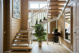 Návrh prostoru pod schody: stylová a funkční řešení (95 fotografií)