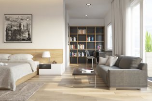 Progettazione di un soggiorno, camera da letto e studio in una stanza