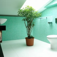 Turkio vonios kambarys-2