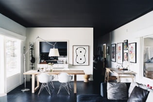 Čierny strop v miestnosti: dizajnové prvky, dizajn, typy, kombinácie, fotografie