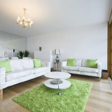 Dzīvojamās istabas interjers zaļā krāsā-3