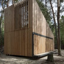 Šiuolaikiškas mažo privataus namo miške dizainas-5