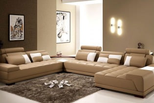 Dzīvojamās istabas interjers brūnos toņos: funkcijas, fotogrāfijas