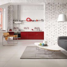 Kuchyňa-obývacia izba v bielej farbe: funkcie, fotografia-3