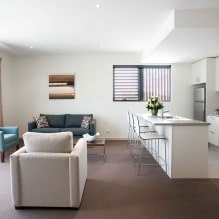 Kuchyňa-obývacia izba v bielej farbe: funkcie, foto-6