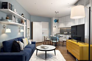 Ontwerp van een modern klein appartement van 41 m². m.